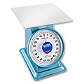 Platform Scales