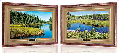 Framed Prints - $1,500 or more