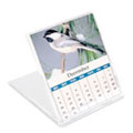 Calendar Jewel Case