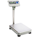 Multi-Use Platform Scales
