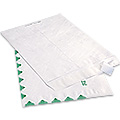 Tyvek® Envelopes