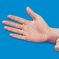 Vinyl / Poly Gloves