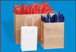 Retail Bags - Paper