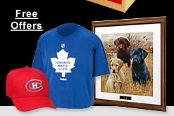 Free Offers